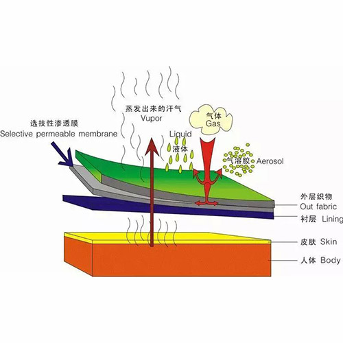 應(yīng)用案例7