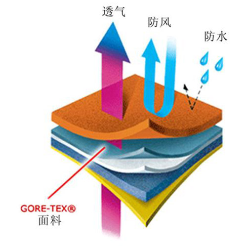 應(yīng)用案例12
